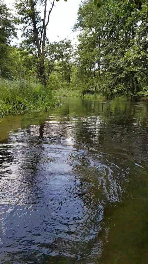 Domki Letniskowe Lesne Spa Borsk Nad Jeziorem Wdzydzkim Basen Sauna Balia Kültér fotó